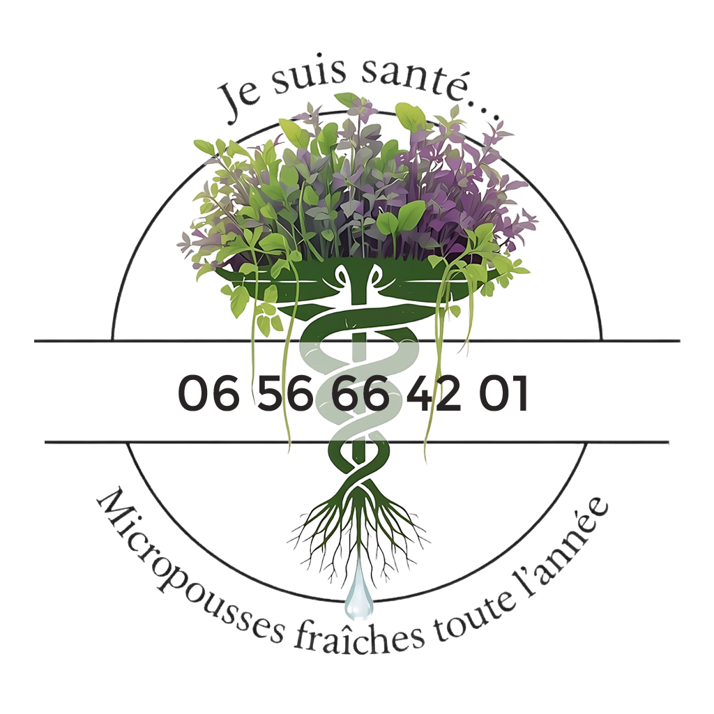 Je suis santé à Auray - Carte de visite